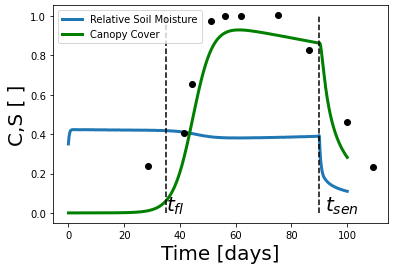 Plot from the Crop Per Drop project